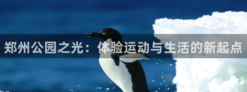 凯捷体育招商电话号码是多少号：郑州公园之光：体验运动