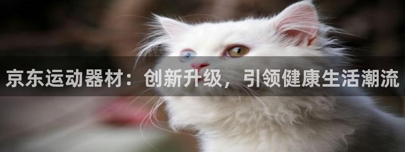 凯捷体育平台APP：京东运动器材：创新升级，引领健康