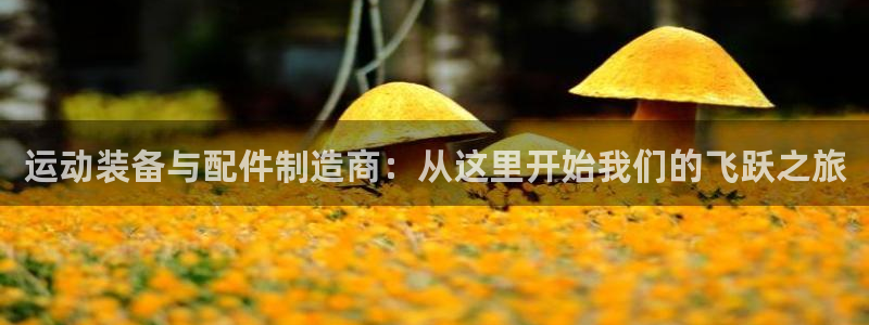 凯捷体育娱乐平台：运动装备与配件制造商：从这里开始我