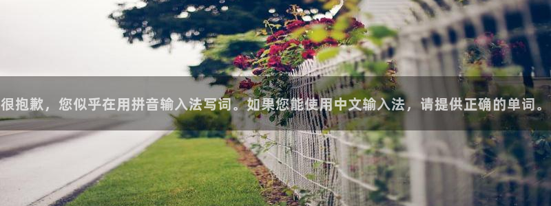 凯捷体育神州：很抱歉，您似乎在用拼音输入法写词。如果
