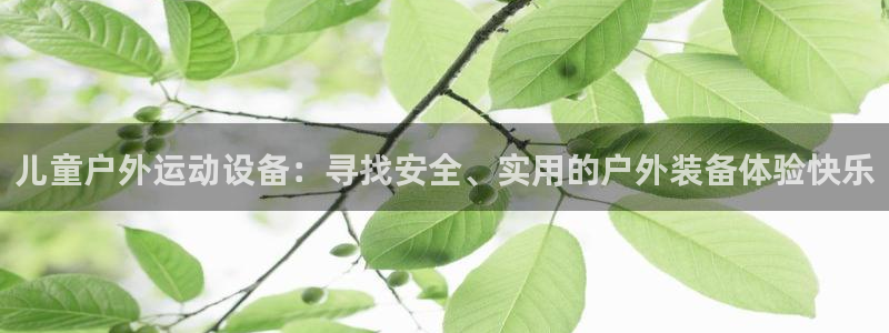 凯捷体育代理：儿童户外运动设备：寻找安全、实用的户外装备体验