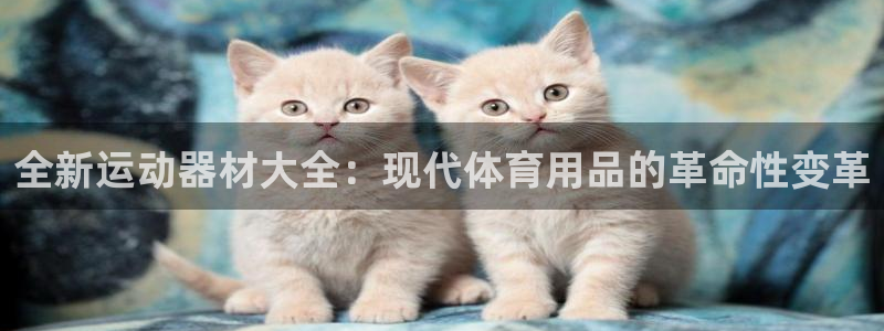 凯捷体育娱乐首页网站大全：全新运动器材大全：现代体育