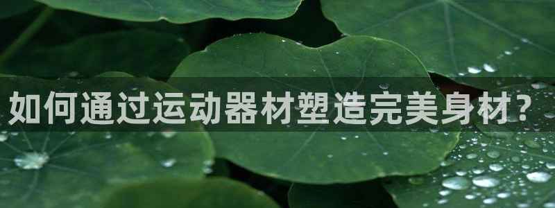 凯捷体育招商电话是多少啊：如何通过运动器材塑造完美身