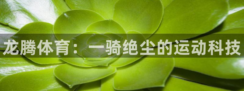 凯捷体育平台注册流程视频：龙腾体育：一骑绝尘的运动科技
