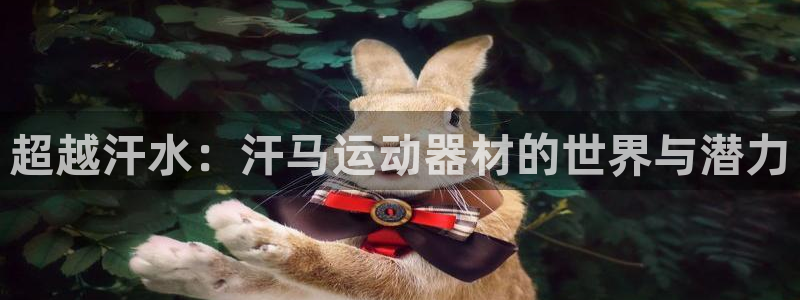 凯捷体育平台是正规平台吗：超越汗水：汗马运动器材的世