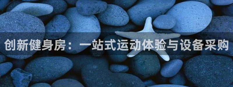 凯捷体育平台注册流程图：创新健身房：一站式运动体验与设备采购