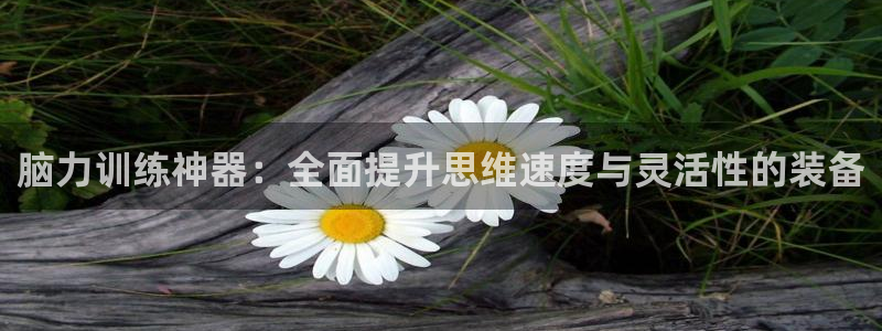 凯捷体育平台是正规平台吗：脑力训练神器：全面提升思维