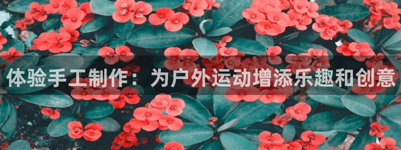 凯捷体育五金厂：体验手工制作：为户外运动增添乐趣和创