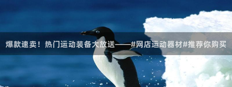 凯捷体育联系电话：爆款速卖！热门运动装备大放送——#网店运动