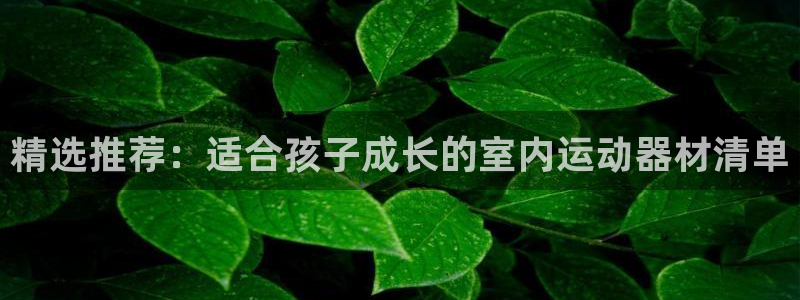 海南凯捷体育发展怎么样:精选推荐:适合孩子成长的室内运动器材