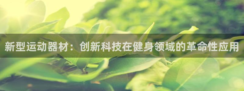 凯捷体育平台：新型运动器材：创新科技在健身领域的革命