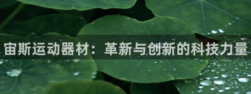 凯捷体育集团官网首页：宙斯运动器材：革新与创新的科技