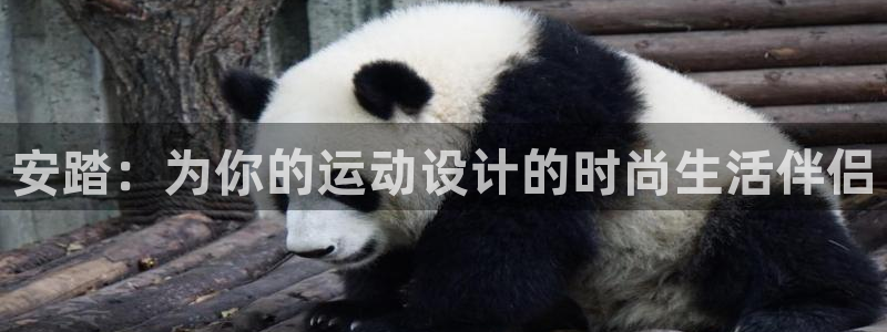 意昂集团官网：安踏：为你的运动设计的时尚生活伴侣