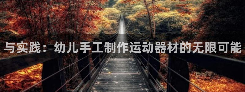 凯捷体育平台注册流程图：与实践：幼儿手工制作运动器材