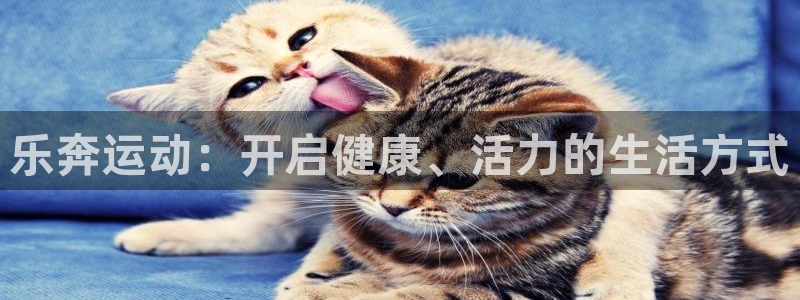 凯捷体育平台注册要钱吗：乐奔运动：开启健康、活力的生