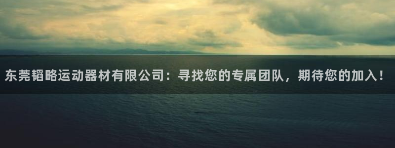 凯捷体育代理：东莞韬略运动器材有限公司：寻找您的专属