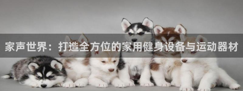 德国凯捷体育集团：家声世界：打造全方位的家用健身设备