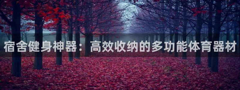 凯捷体育平台注册流程视频：宿舍健身神器：高效收纳的多