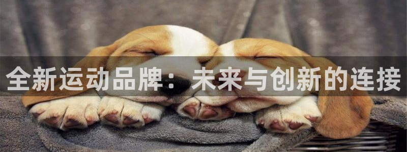 凯捷体育招商电话是多少啊：全新运动品牌：未来与创新的