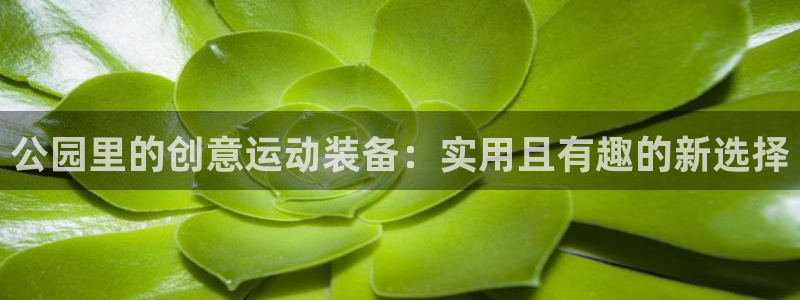 海南凯捷体育：公园里的创意运动装备：实用且有趣的新选