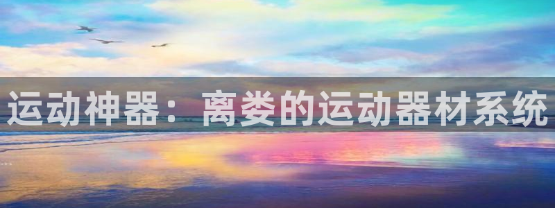 凯捷体育集团官网网址：运动神器：离娄的运动器材系统