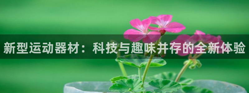 凯捷体育平台注册流程视频：新型运动器材：科技与趣味并