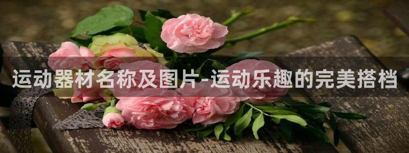 凯捷体育联系电话：运动器材名称及图片-运动乐趣的完美搭档