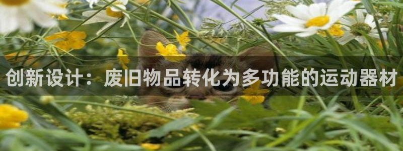 凯捷体育平台是正规平台吗安全吗：创新设计：废旧物品转化为多功