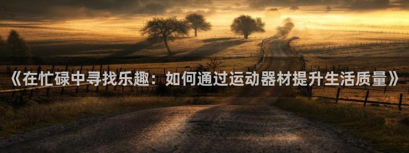 凯捷体育娱乐下载：《在忙碌中寻找乐趣：如何通过运动器
