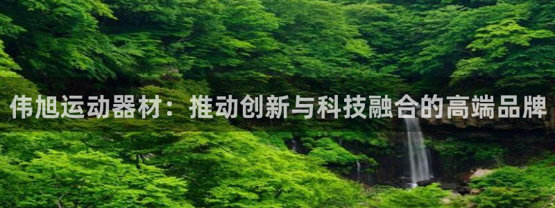 凯捷体育招商：伟旭运动器材：推动创新与科技融合的高端
