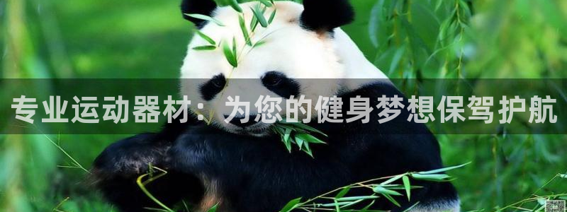 凯捷体育娱乐：专业运动器材：为您的健身梦想保驾护航