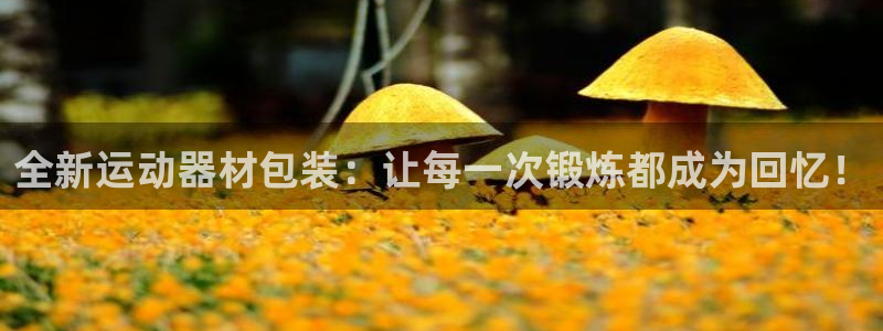 凯捷体育集团官网首页网址：全新运动器材包装：让每一次