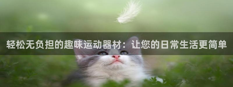 凯捷体育代理：轻松无负担的趣味运动器材：让您的日常生