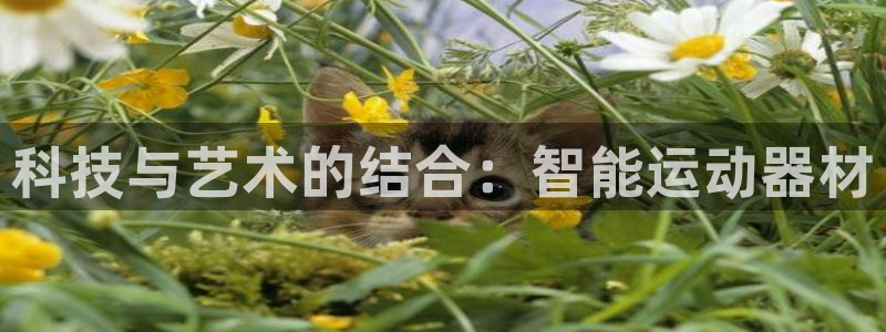 凯捷体育代理