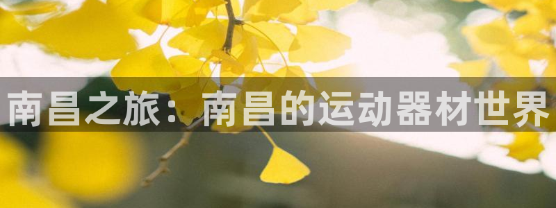 凯捷体育招商电话是多少