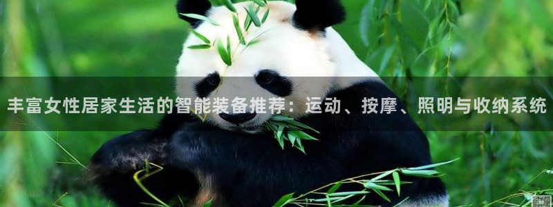 凯捷体育集团E.ON