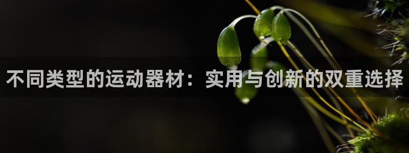 凯捷体育软件