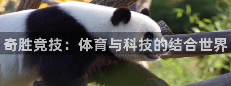 凯捷体育开户：奇胜竞技：体育与科技的结合世界