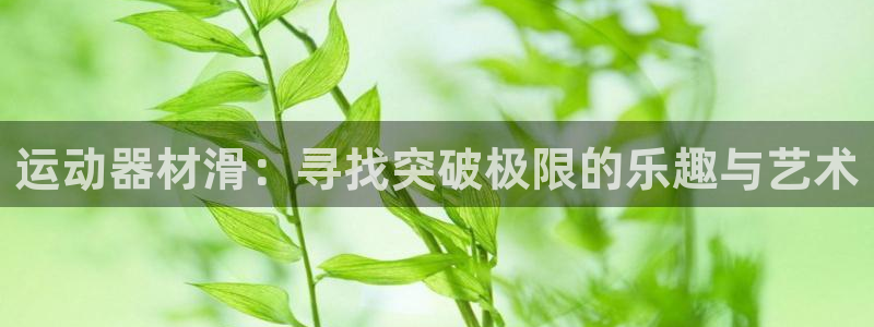 凯捷体育集团官网首页：运动器材滑：寻找突破极限的乐趣