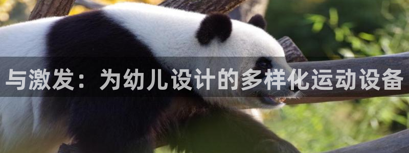 注册凯捷体育：与激发：为幼儿设计的多样化运动设备