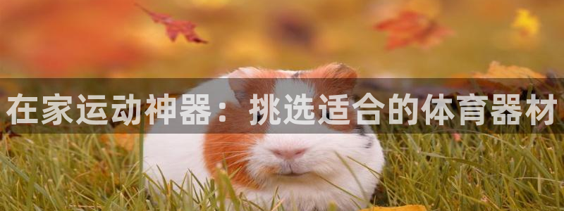 凯捷体育代理：在家运动神器：挑选适合的体育器材