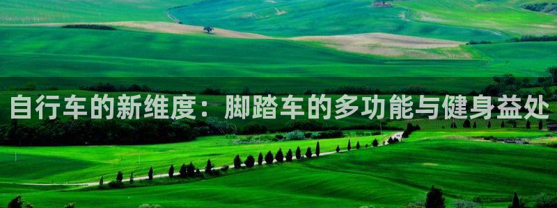 凯捷体育集团官网网址：自行车的新维度：脚踏车的多功能