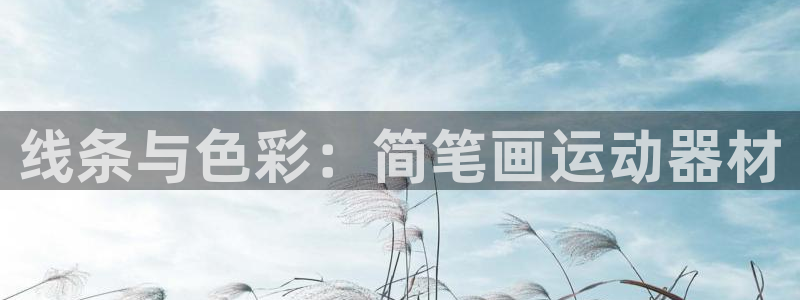 凯捷体育招商电话地址是多少：线条与色彩：简笔画运动器