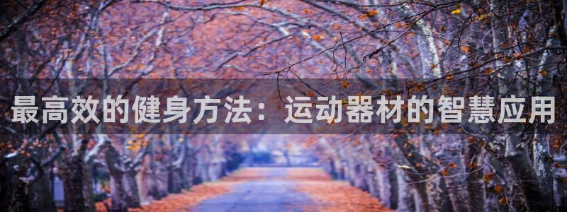 凯捷体育集团E.ON：最高效的健身方法：运动器材的智