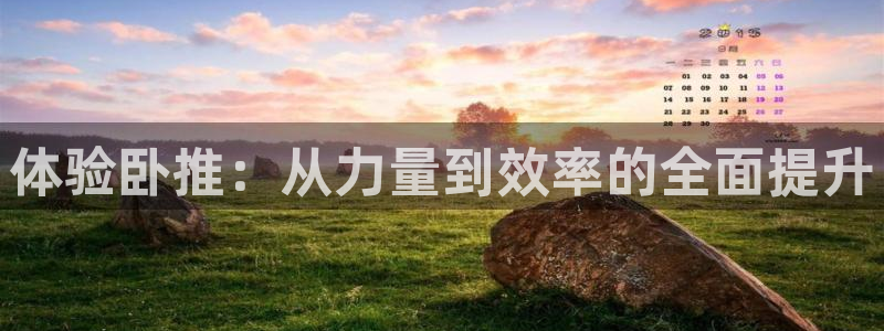 凯捷体育集团E.ON：体验卧推：从力量到效率的全面提