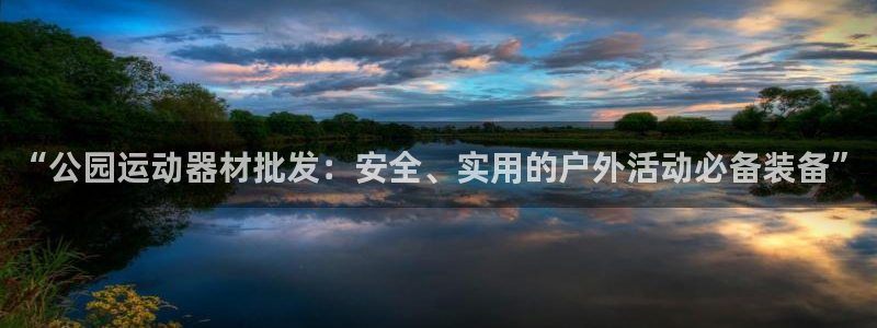 意昂集团官网：“公园运动器材批发：安全、实用的户外活动必备装