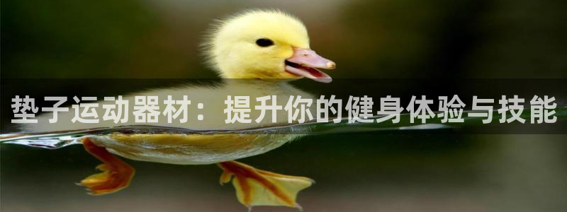 凯捷体育集团官网首页网址